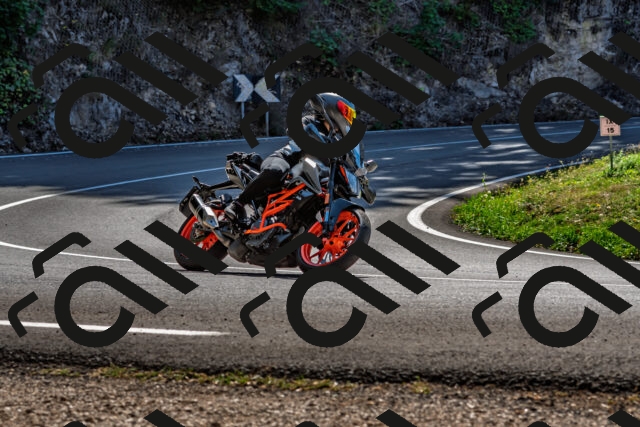 202509211219-DSC_3640_d2_