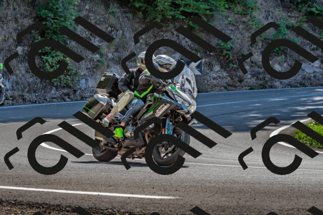 202509211219-DSC_3654_d2_