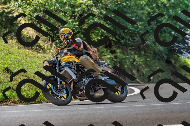 202509211220-DSC_3660_d2_