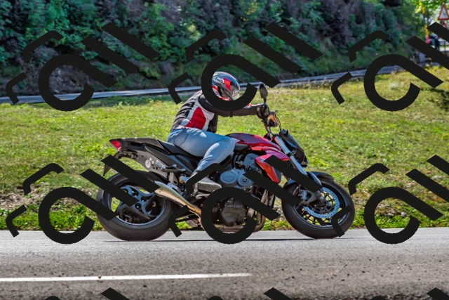 202509211221-DSC_3669_d2_