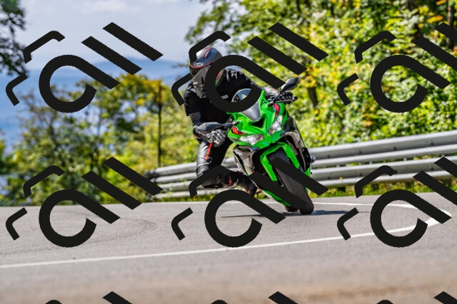 202509211223-DSC_3676_d2_