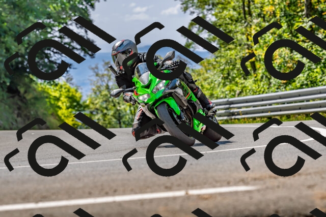 202509211223-DSC_3677_d2_