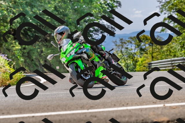 202509211223-DSC_3678_d2_