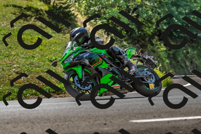 202509211223-DSC_3679_d2_