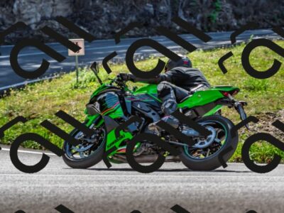 202509211223-DSC_3683_d2_