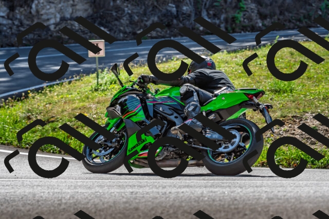 202509211223-DSC_3683_d2_