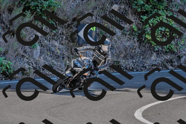 202509211225-DSC_3700_d2_