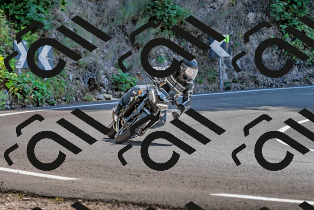 202509211225-DSC_3701_d2_