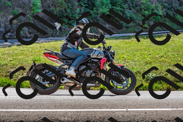 202509211225-DSC_3711_d2_