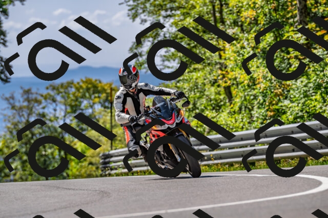 202509211227-DSC_3725_d2_