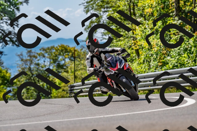 202509211227-DSC_3726_d2_