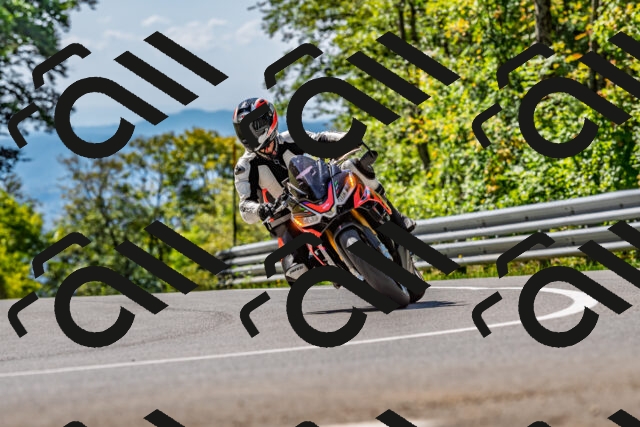 202509211227-DSC_3727_d2_