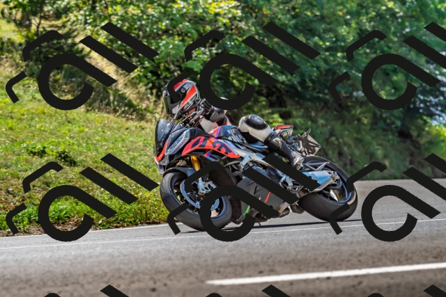 202509211227-DSC_3730_d2_