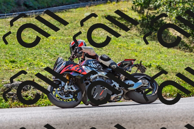 202509211227-DSC_3731_d2_