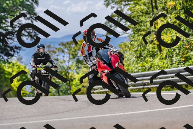 202509211227-DSC_3740_d2_