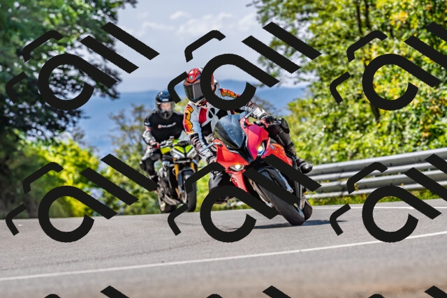 202509211227-DSC_3741_d2_