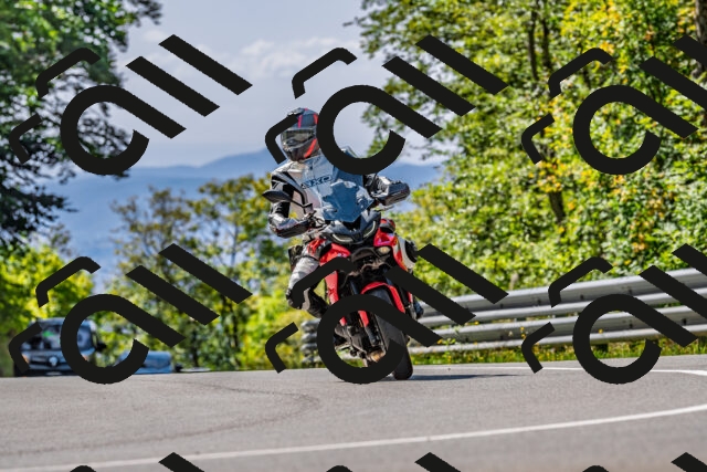 202509211229-DSC_3765_d2_