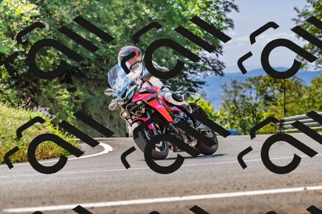 202509211229-DSC_3766_d2_