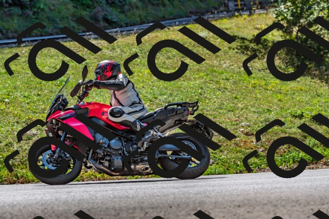 202509211229-DSC_3767_d2_