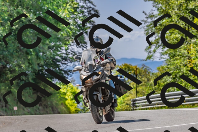 202509211229-DSC_3769_d2_