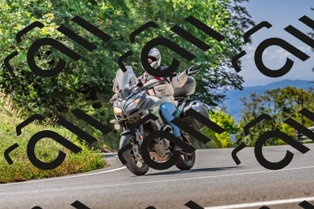 202509211229-DSC_3770_d2_