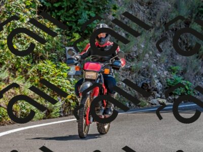 202509211239-DSC_3847_d2_