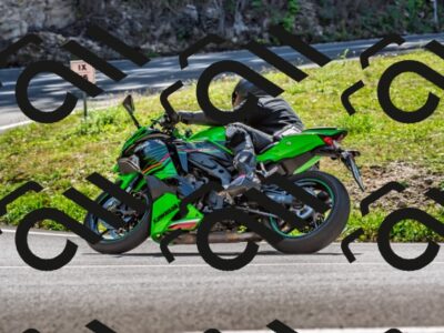 202509211246-DSC_3900_d2_