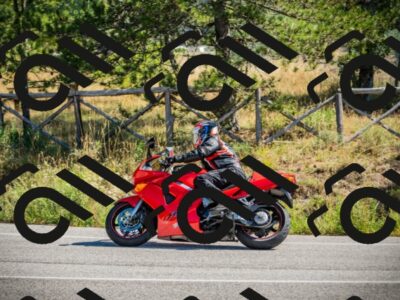 202509211133-DSC08801_c1_