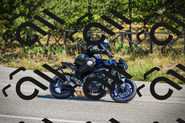 202509211200-DSC09167_c1_