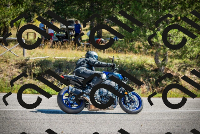 202509211200-DSC09168_c1_