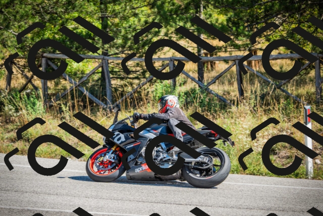 202509211200-DSC09175_c1_