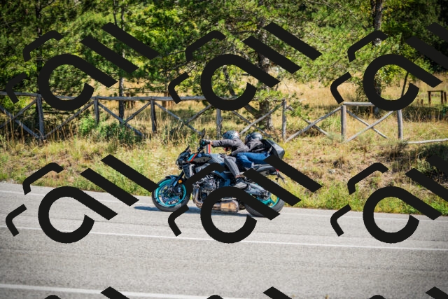 202509211201-DSC09194_c1_