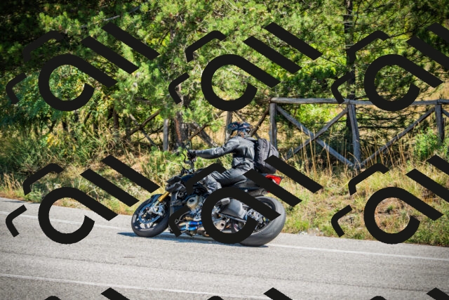 202509211201-DSC09199_c1_