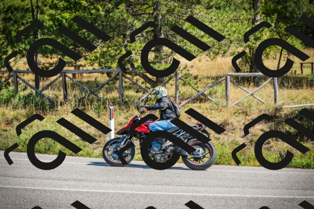 202509211202-DSC09214_c1_