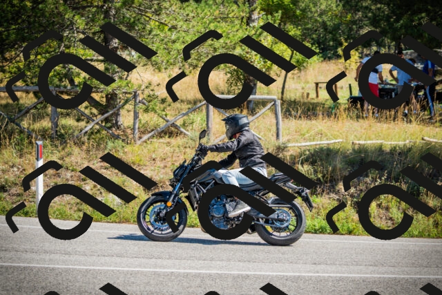 202509211202-DSC09218_c1_