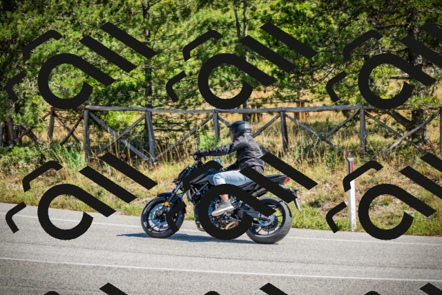 202509211202-DSC09219_c1_