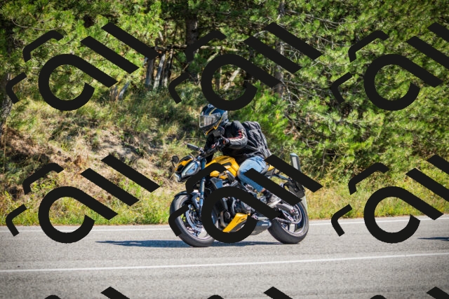 202509211202-DSC09221_c1_