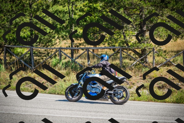 202509211202-DSC09236_c1_