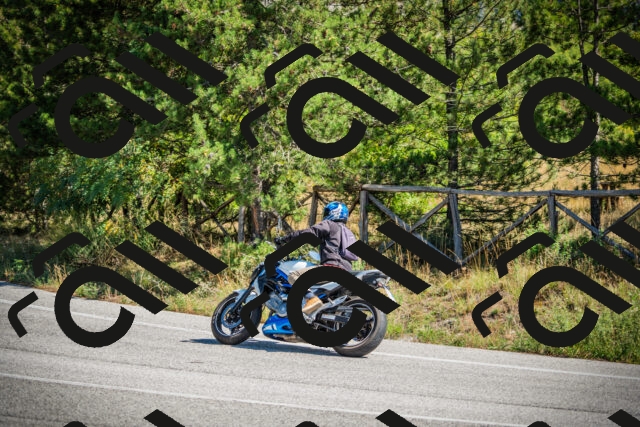 202509211202-DSC09237_c1_