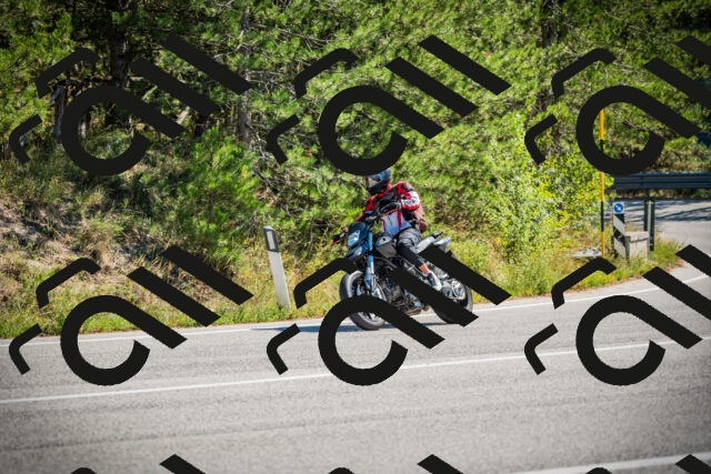 202509211202-DSC09239_c1_