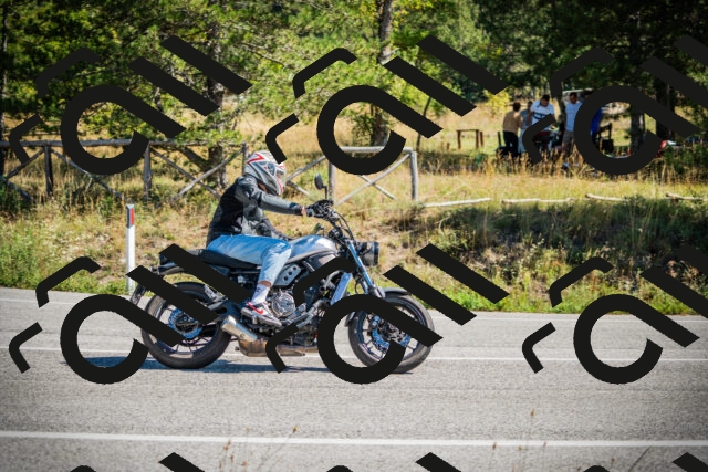 202509211202-DSC09251_c1_