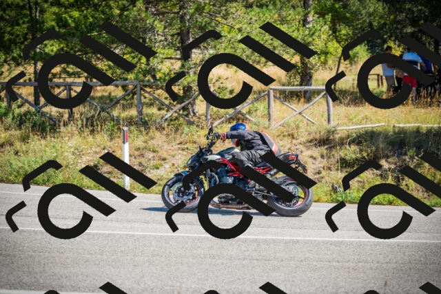 202509211204-DSC09291_c1_