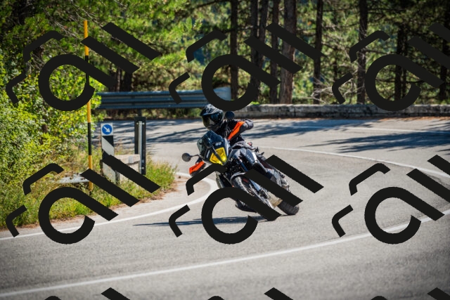 202509211204-DSC09293_c1_