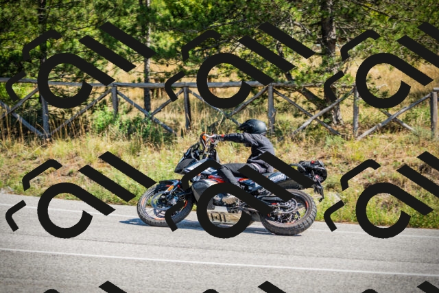 202509211204-DSC09295_c1_