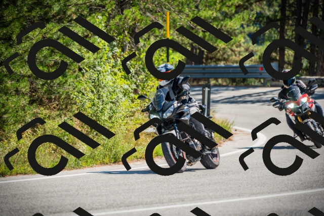 202509211205-DSC09306_c1_