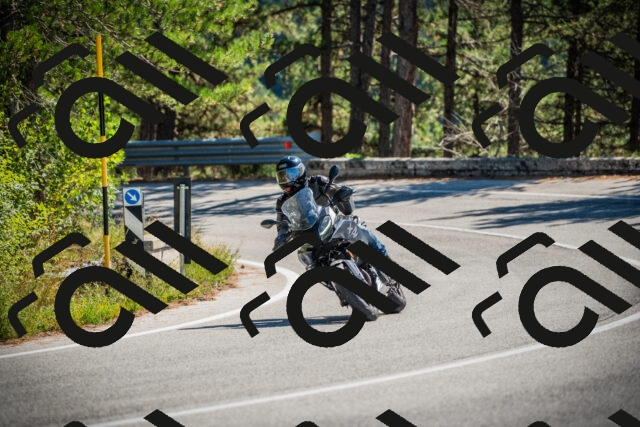 202509211206-DSC09316_c1_