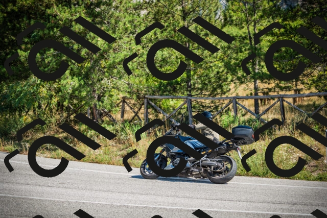 202509211206-DSC09319_c1_