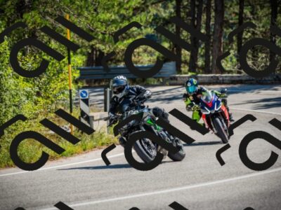 202509211206-DSC09321_c1_