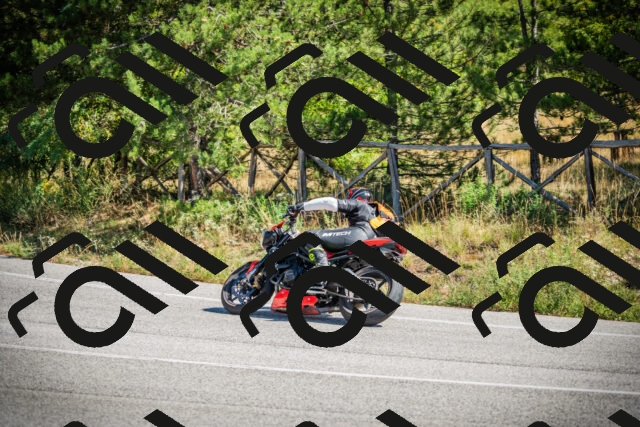 202509211206-DSC09336_c1_