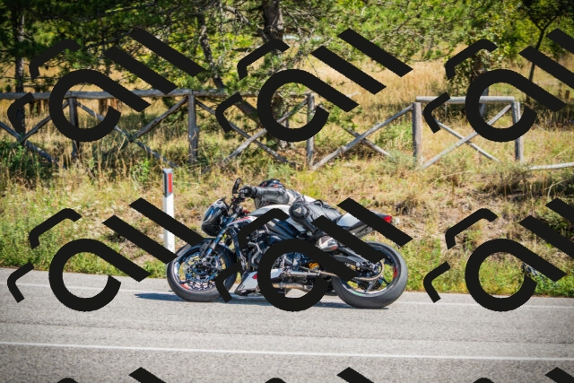 202509211206-DSC09339_c1_